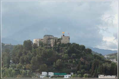 _MG_9658.jpg