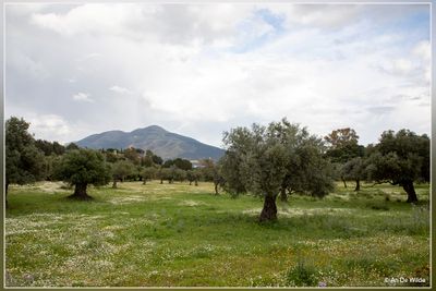 _MG_9816.jpg