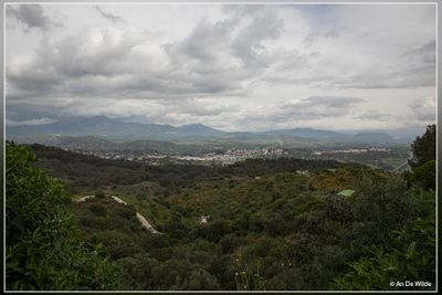 _MG_9875.jpg