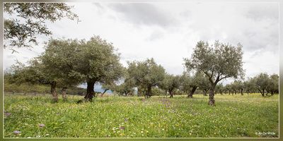 _MG_9888+9889.jpg