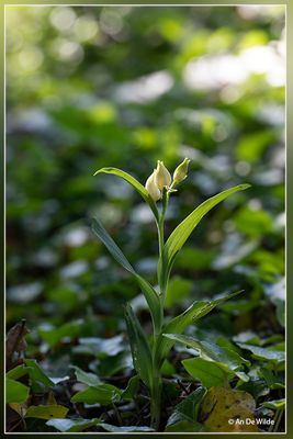 _MG_6882.jpg