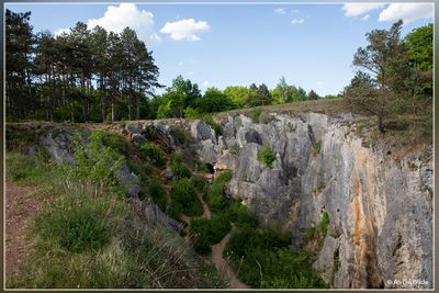 _MG_7119.jpg