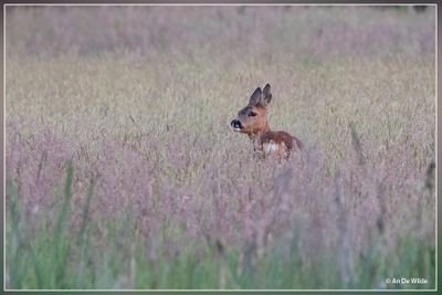 _MG_7651.jpg