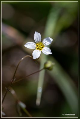 _MG_8651.jpg