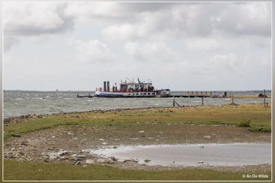 _MG_1855.jpg