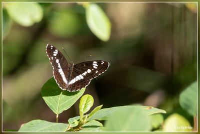 _MG_3014.jpg