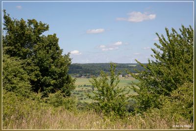 _MG_9049.jpg