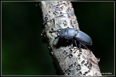 _MG_3605-2.jpg