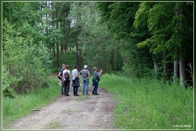 _MG_9509.jpg