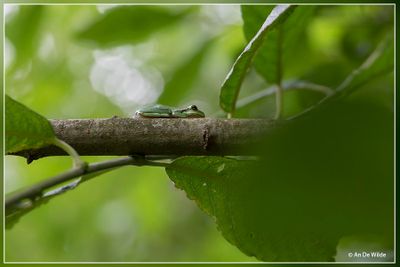 _MG_6609.jpg