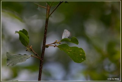 _MG_6973.jpg