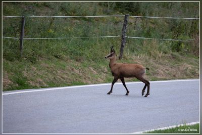 _MG_7157.jpg