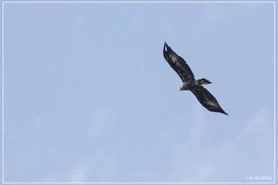 _MG_8154.jpg