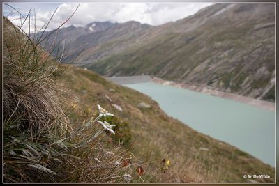 _MG_0550.jpg