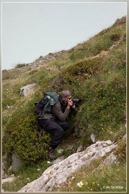 _MG_0589.jpg