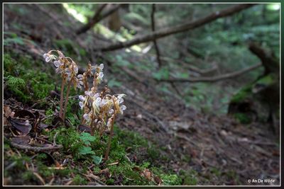 _MG_1673.jpg