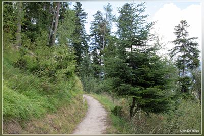 _MG_1313.jpg