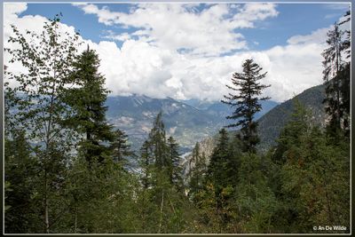 _MG_1314.jpg