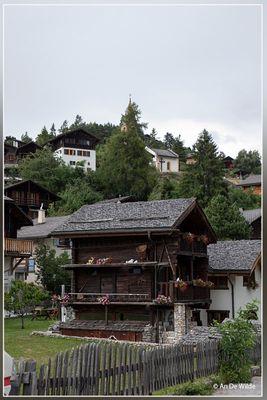 _MG_1348.jpg