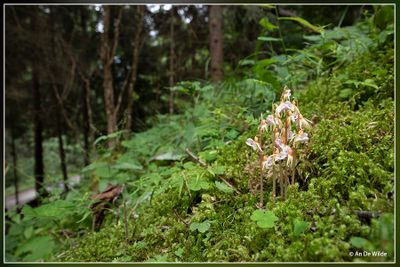 _MG_2194.jpg