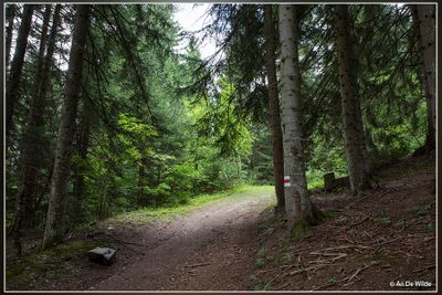 _MG_2203.jpg