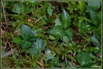 _MG_2644.jpg