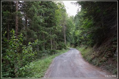 _MG_2843.jpg