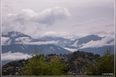 _MG_2929.jpg