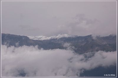 _MG_2932.jpg