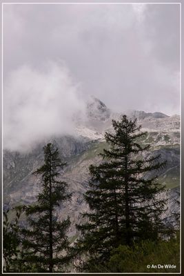 _MG_2964.jpg