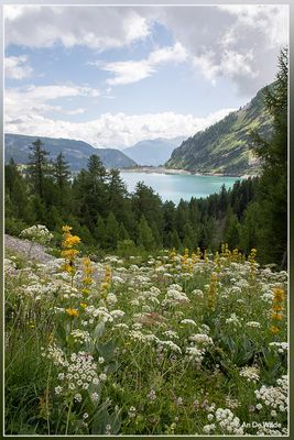 _MG_3228.jpg