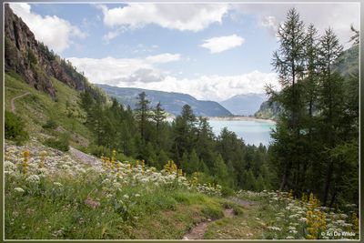 _MG_3232.jpg