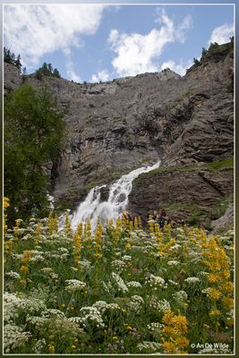 _MG_3249.jpg