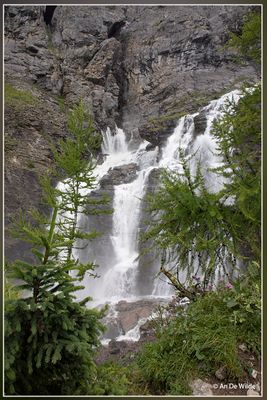 _MG_3251.jpg