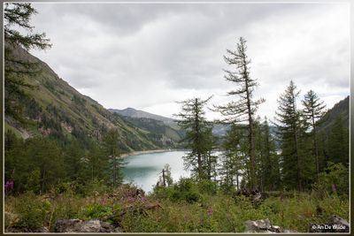 _MG_3360.jpg