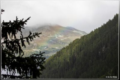 _MG_3682.jpg