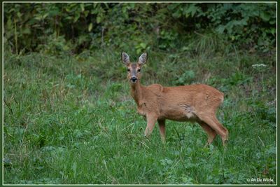 _MG_3886.jpg