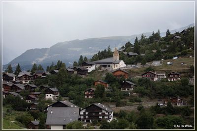 _MG_3912.jpg