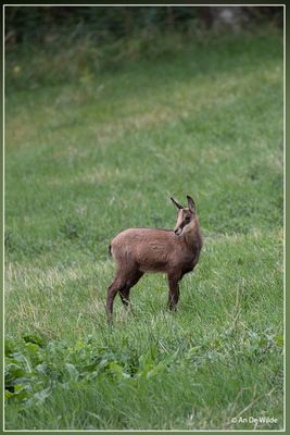 _MG_3990.jpg