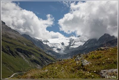 _MG_4338.jpg