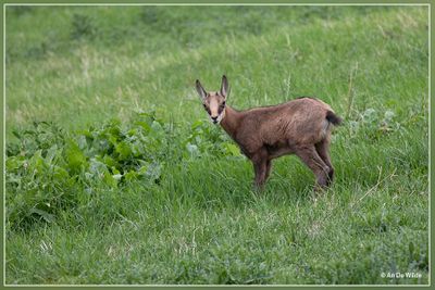 _MG_6099.jpg