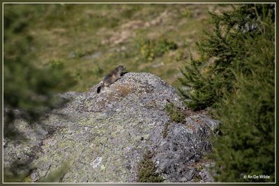 _MG_6248.jpg