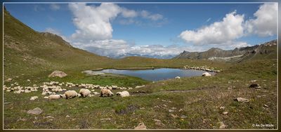 _MG_6396-6399.jpg