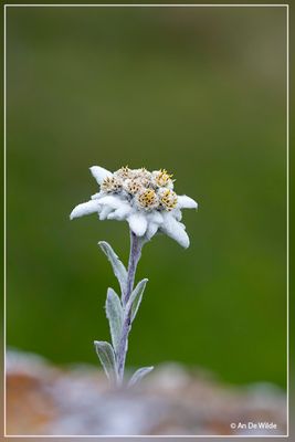 _MG_6853+6854.jpg