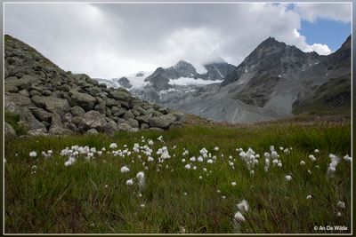 _MG_7729.jpg