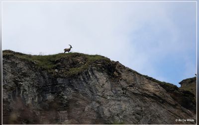 _MG_7819.jpg