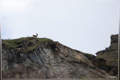 _MG_7836-2.jpg