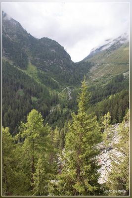 _MG_6718.jpg