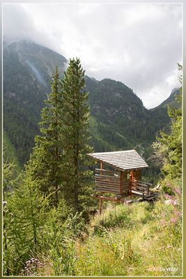 _MG_6722.jpg