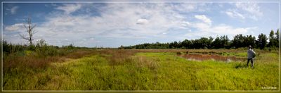 _MG_9514-9521.jpg